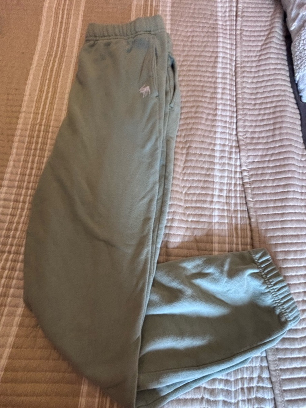 abercrombie kids Olive Fleece Jogger Pants